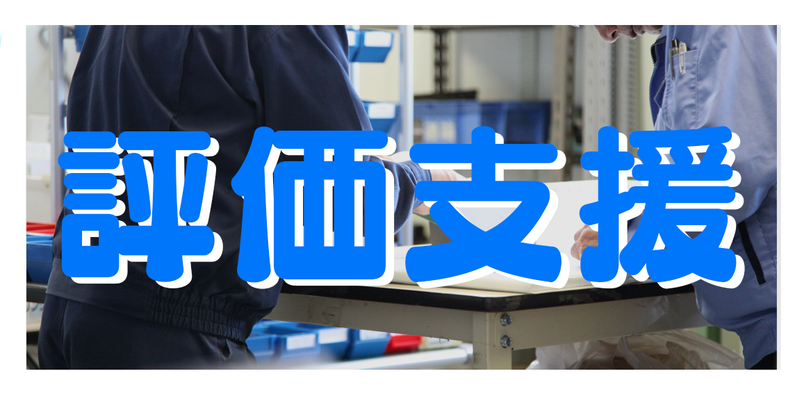 評価支援