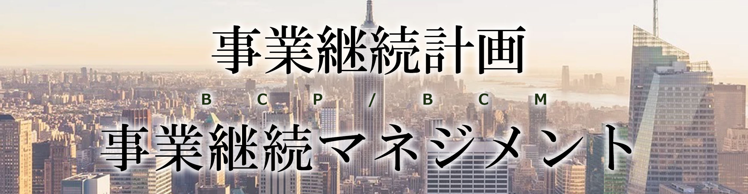 事業継続計画/マネジメント（BCP/BCM）